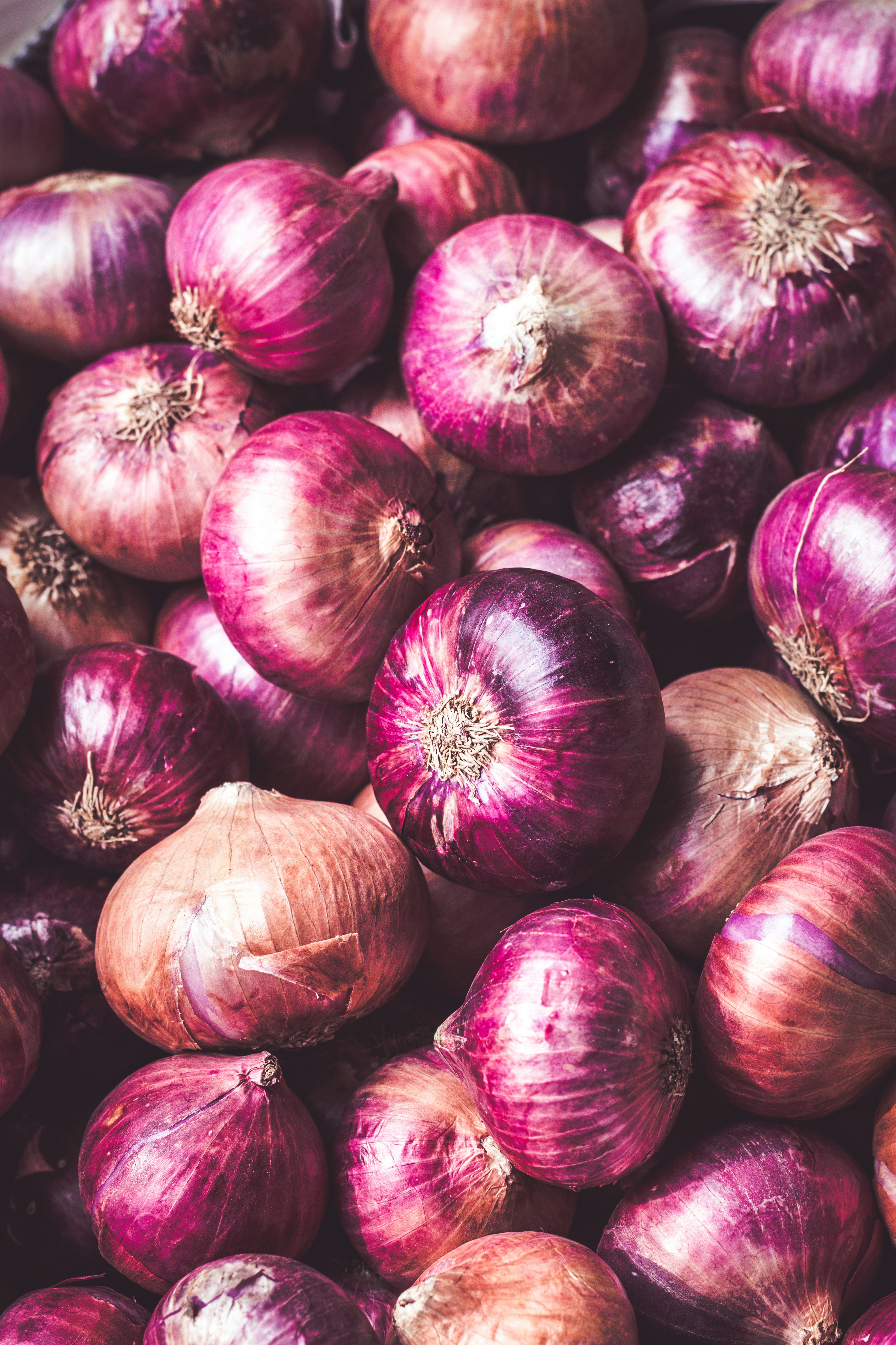 Onion Powder