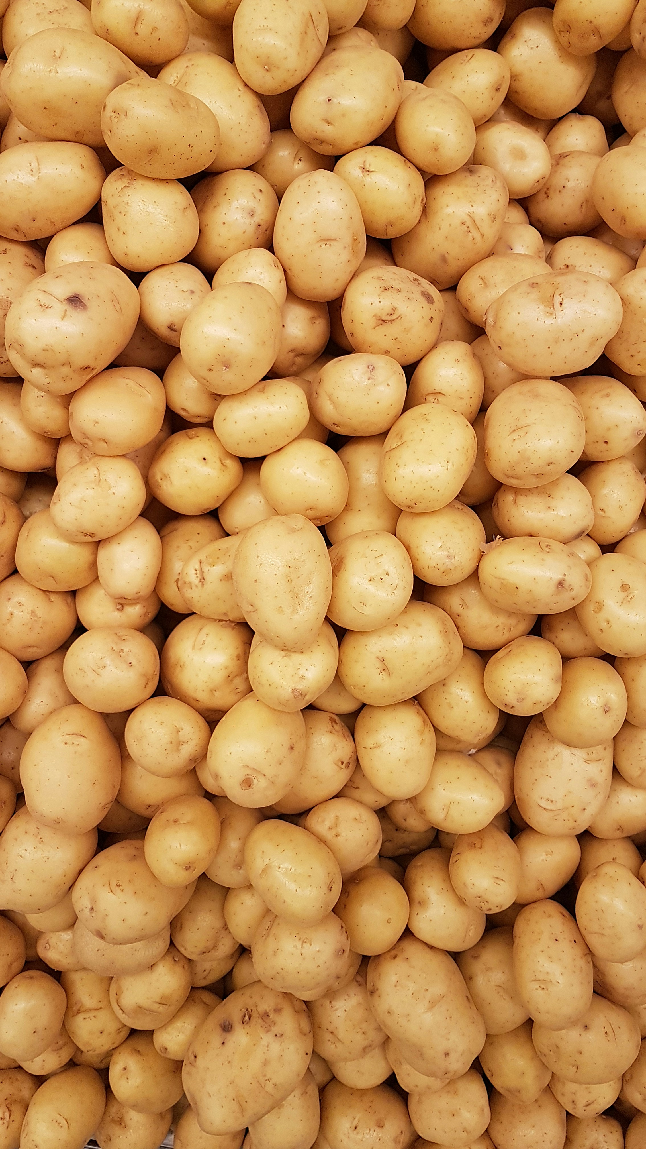 Potato Flakes