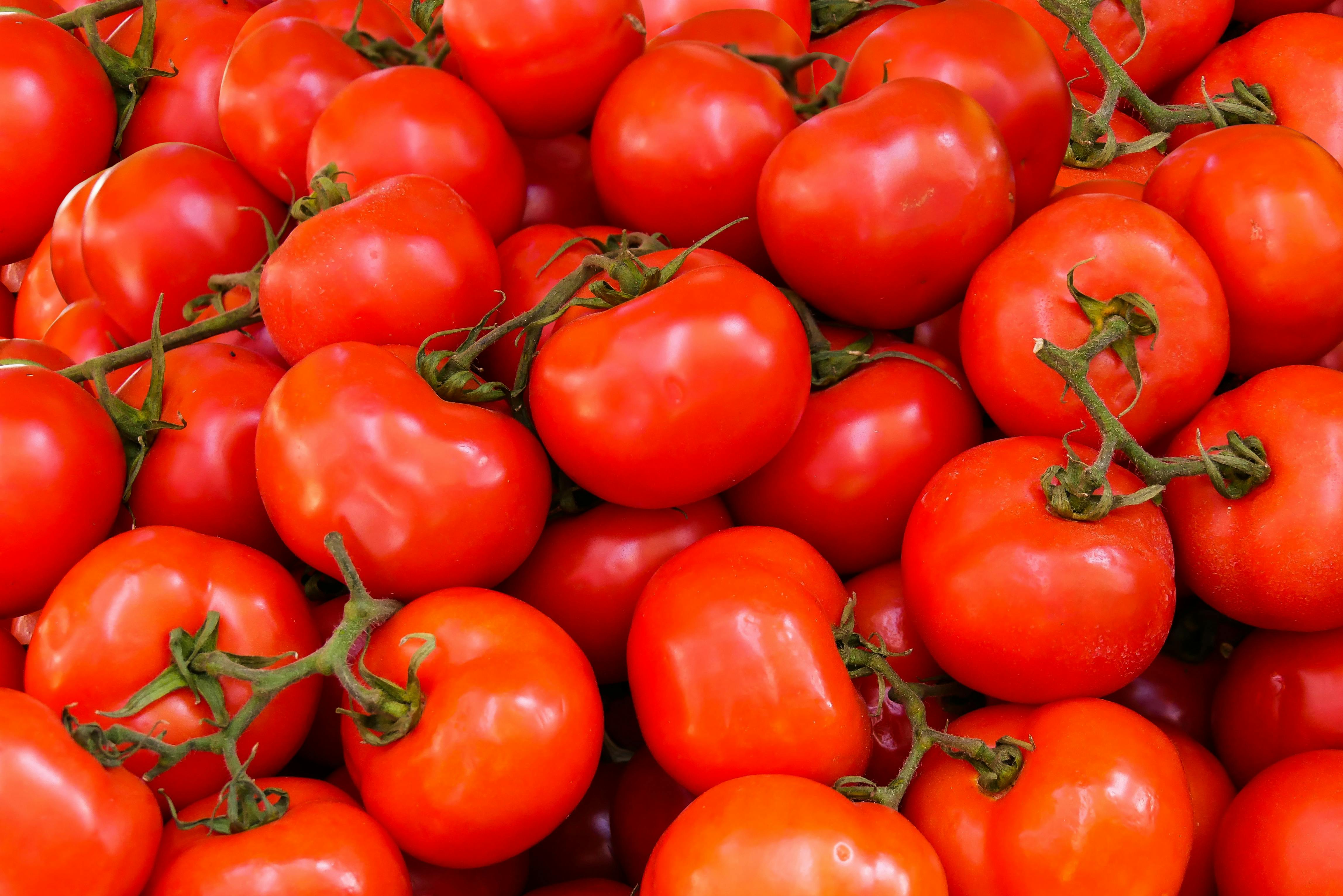 Tomato Powder